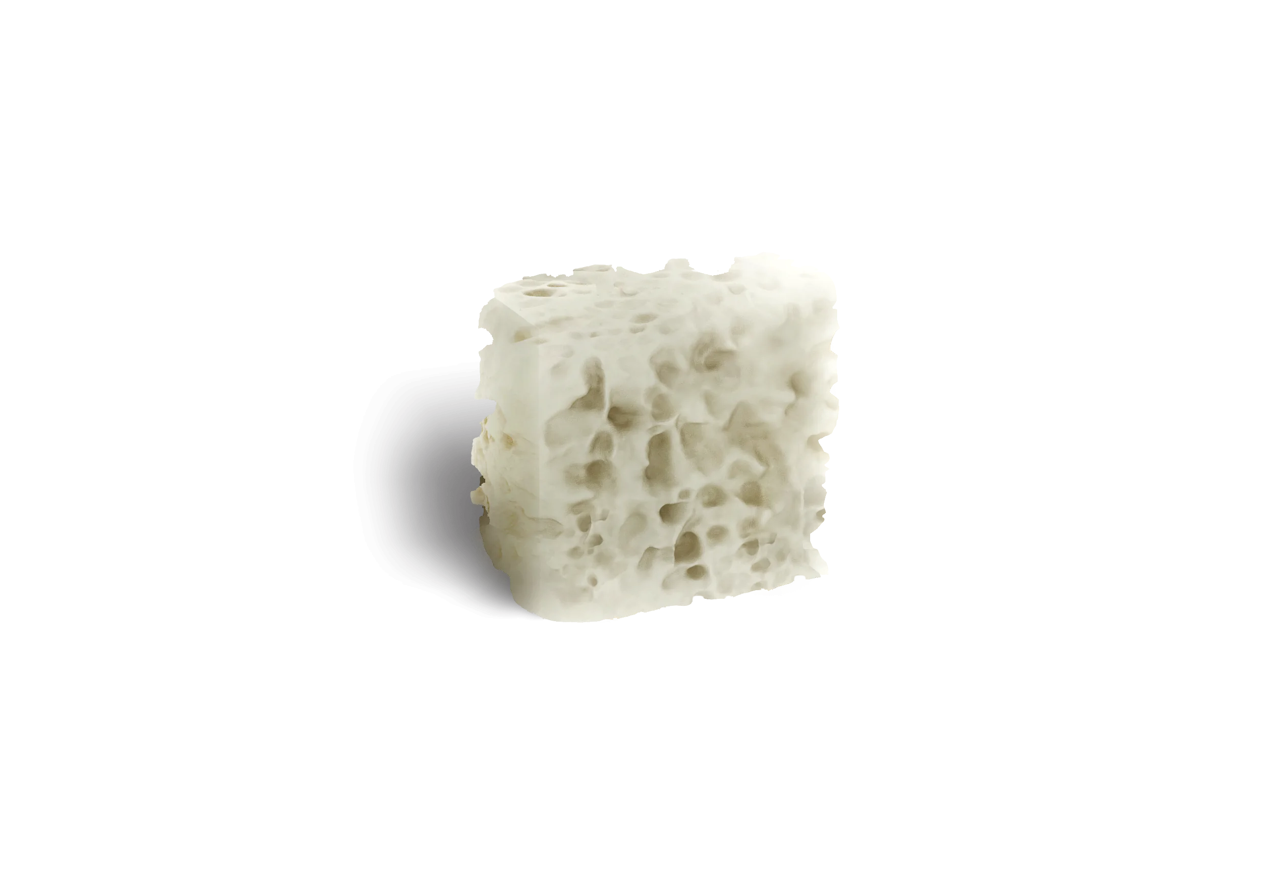 Enxerto Bonefill bloco - Bionnovation - Imagem 2