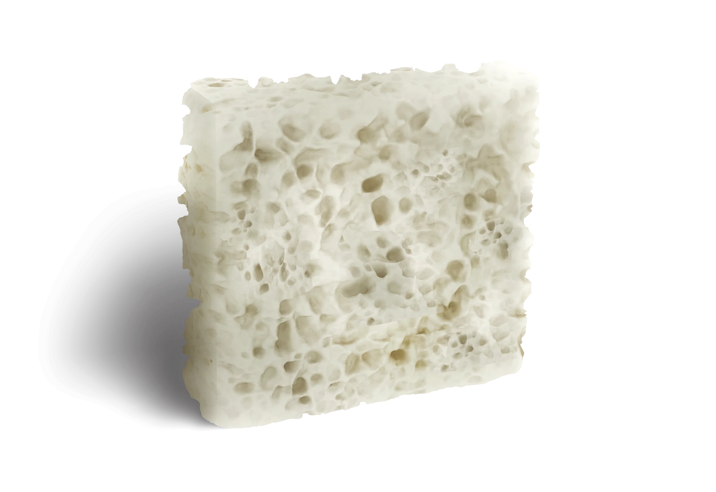 Enxerto Bonefill bloco - Bionnovation